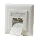 CAT6 UTP / STP flush-mount box, ivory