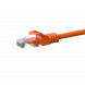 CAT6 UTP 10m orange - CCA