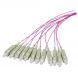 OM4 fibre optic pigtail purple ST - 12 pieces
