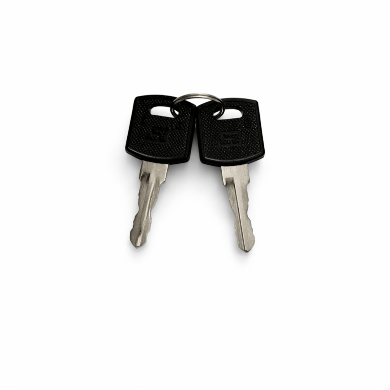 Extra side lock key for side panels in server cabinets (including spare key)